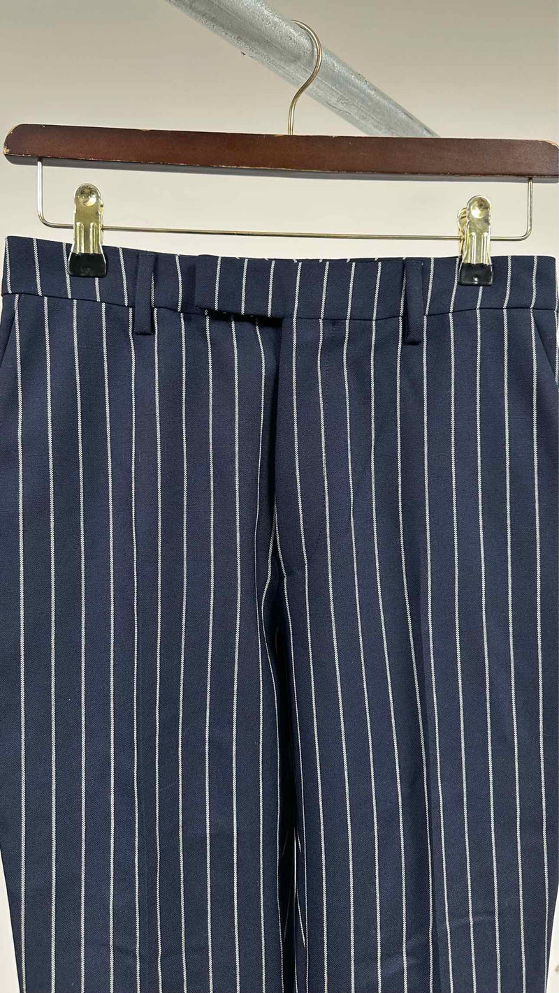 CELINE Stripe Skinny Pants