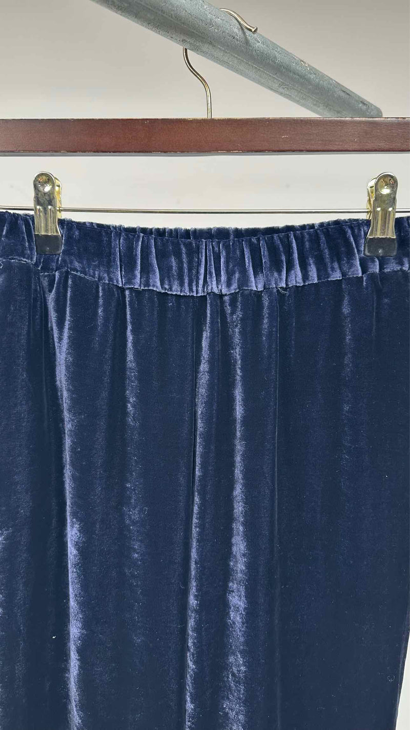 Dries Van Noten Velvet Easy Pants