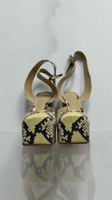Bottega Veneta Python Buckled Platform Pumps