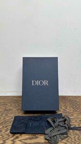 Dior B33 Spin Sneakers