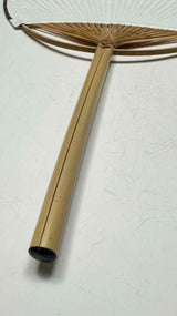 PRADA Diagnoel-Logp Hand Fan