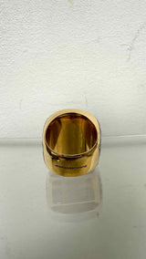 Alexander Wang Champion Ring
