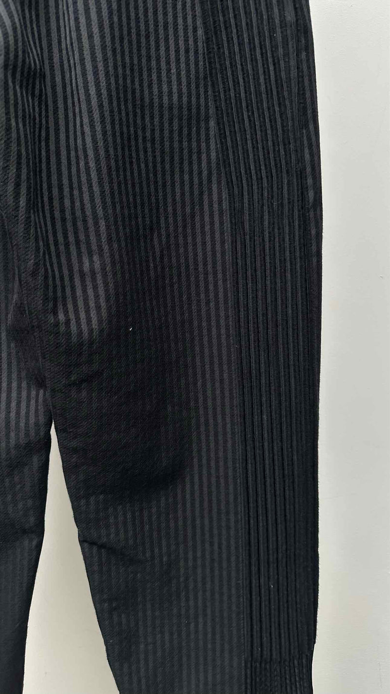 Issey Miyake Stripe Pants
