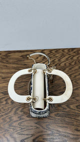 Dior Toile de Jouy Mini Lady Dior