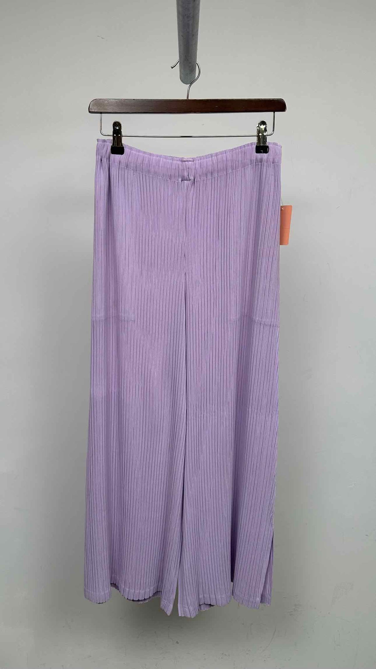 Issey Miyake Pleated Wide Pants – TOKIO7