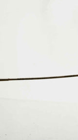 Oliver Peoples Sunglasses