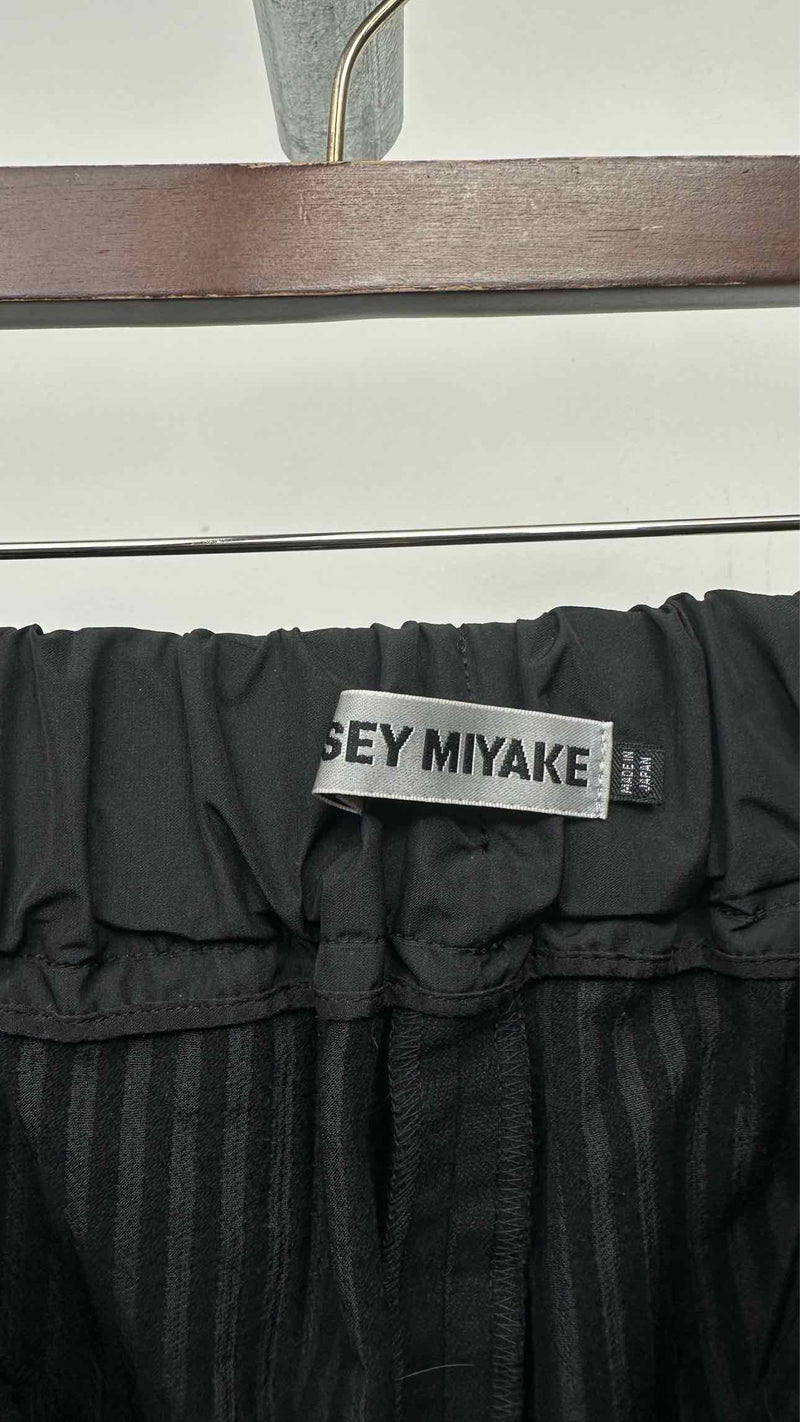 Issey Miyake Stripe Pants