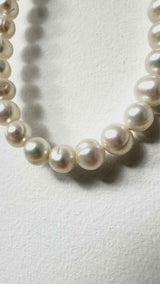 Hatten Labs Pearl Necklace
