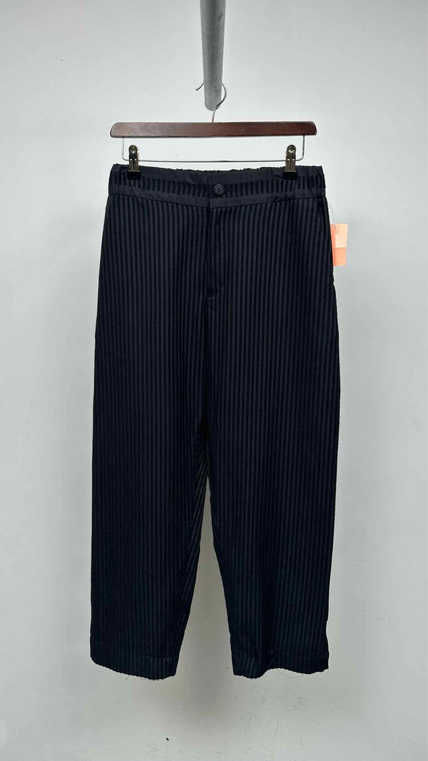 Issey Miyake Stripe Pants