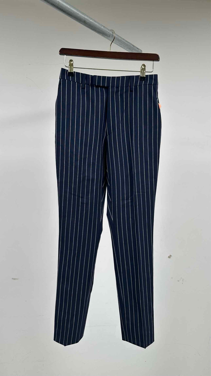 CELINE Stripe Skinny Pants
