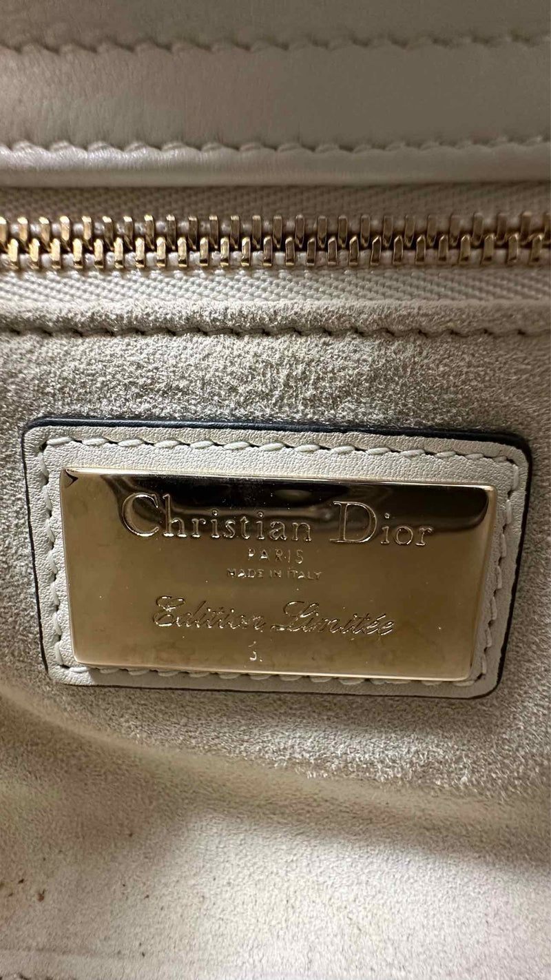 Dior Toile de Jouy Mini Lady Dior