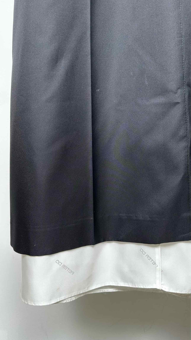 Peter Do Pleated Long Silk Skirt