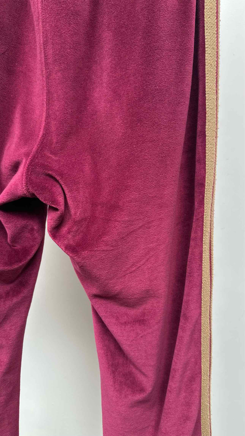 Needles Velvet Easy Track Pants